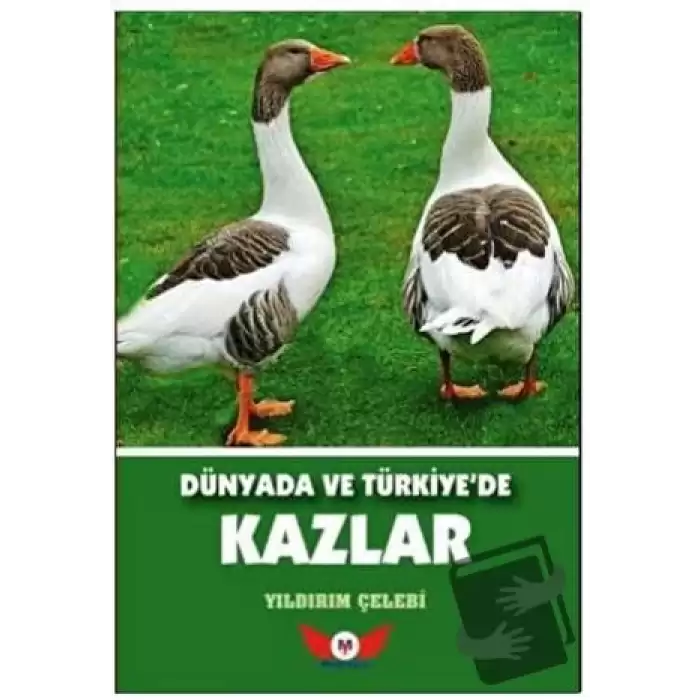 Dünyada ve Türkiyede Kazlar