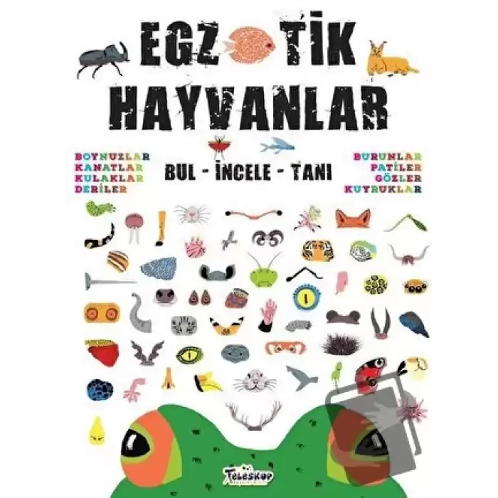 Egzotik Hayvanlar