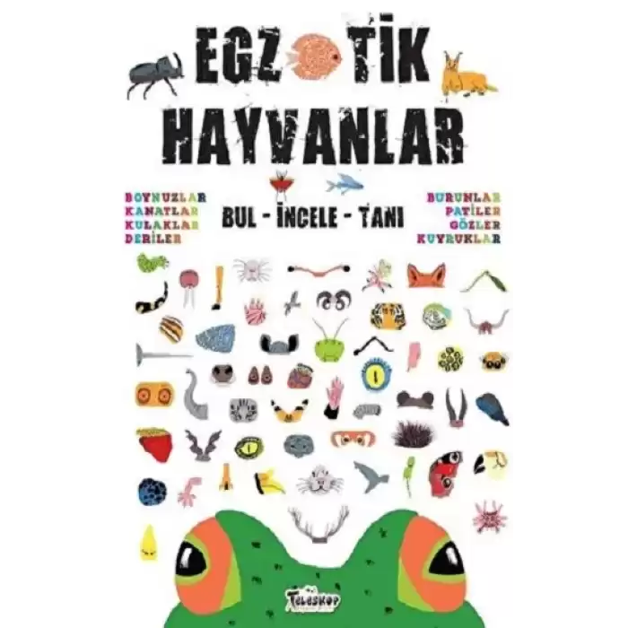 Egzotik Hayvanlar