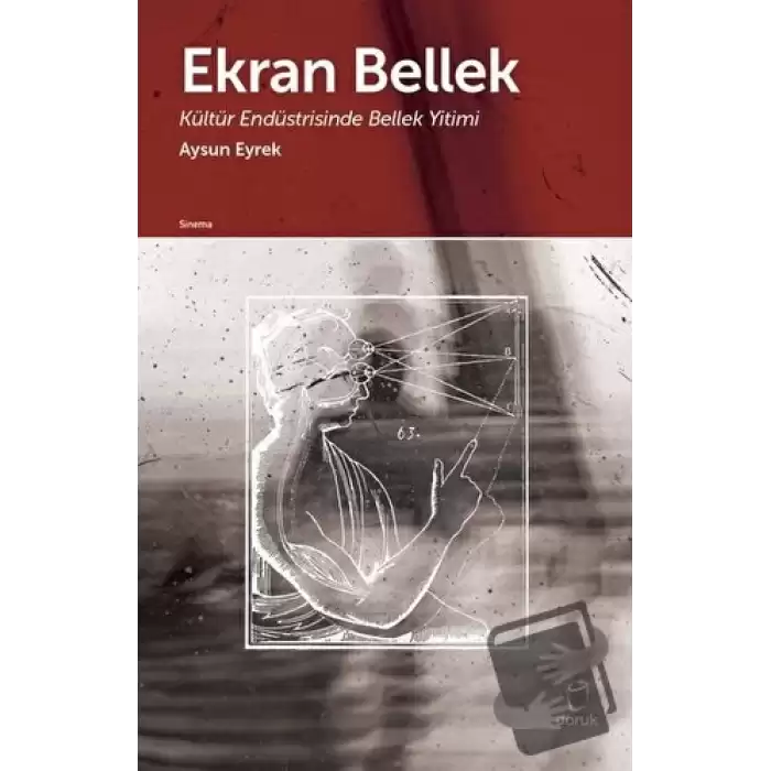 Ekran Bellek