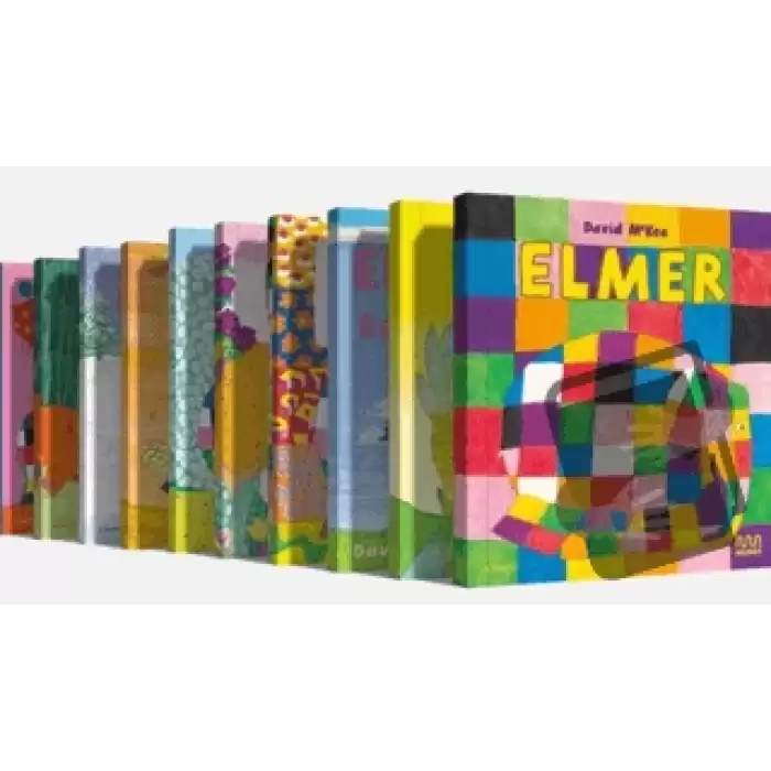 Elmer Stant 2024 (100 Kitap)