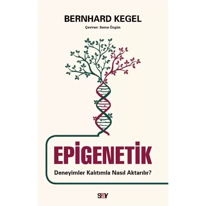 Epigenetik - Deneyimler Kalıtımla Nasıl Aktarılır?