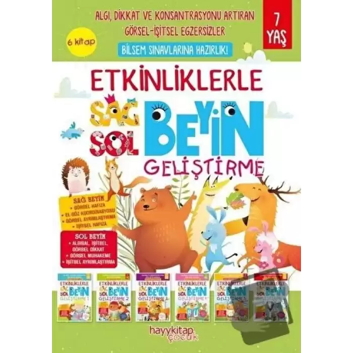 Etkinliklerle Sağ Beyin Sol Beyin Geliştirme (6 Kitap)