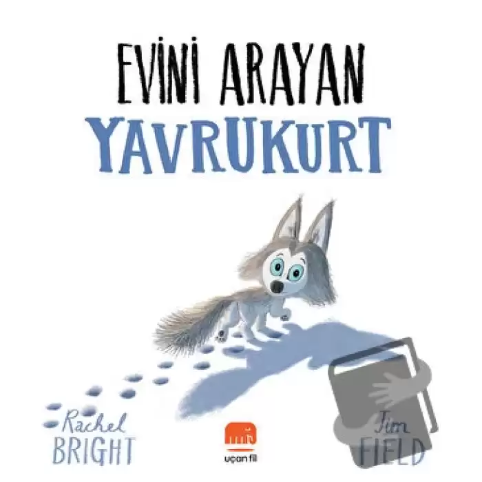 Evini Arayan Yavrukurt