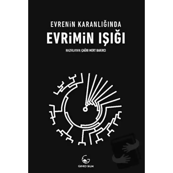 Evrenin Karanlığında Evrimin Işığı