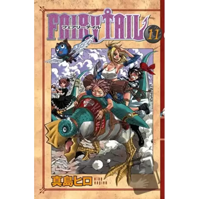 Fairy Tail 11