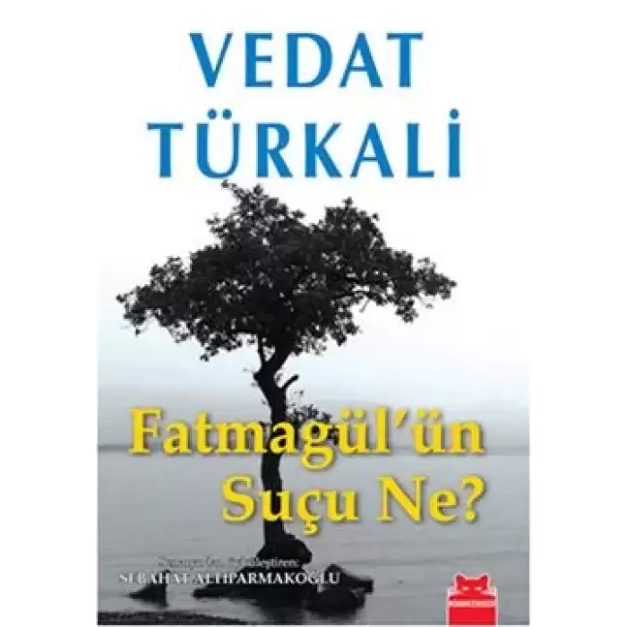 Fatmagül’ün Suçu Ne?