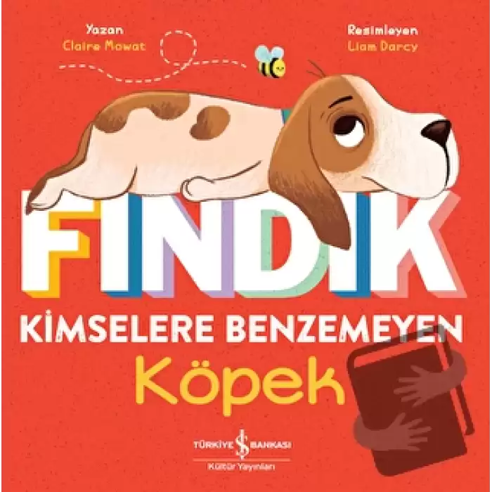 Fındık Kimselere Benzemeyen Köpek