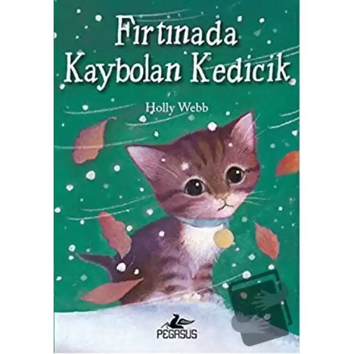 Fırtınada Kaybolan Kedicik