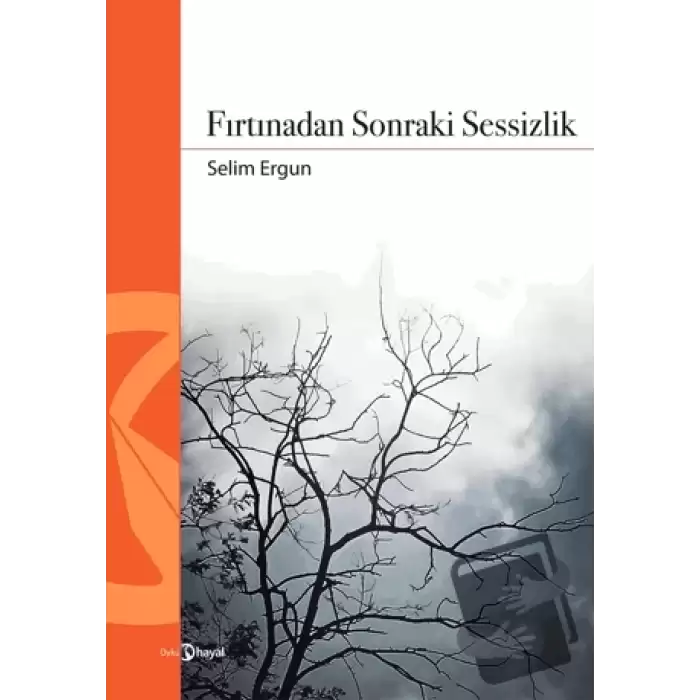 Fırtınadan Sonraki Sessizlik