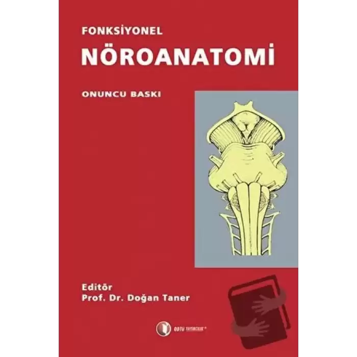 Fonksiyonel Nöroanatomi