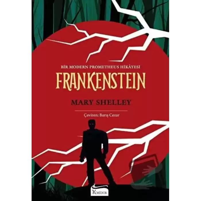 Frankenstein (Bez Ciltli)