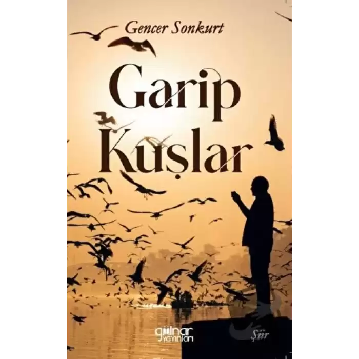 Garip Kuşlar