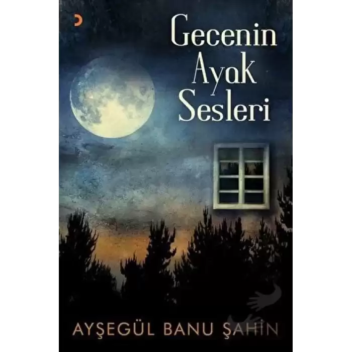 Gecenin Ayak Sesleri