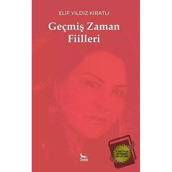 Geçmiş Zaman Fiilleri