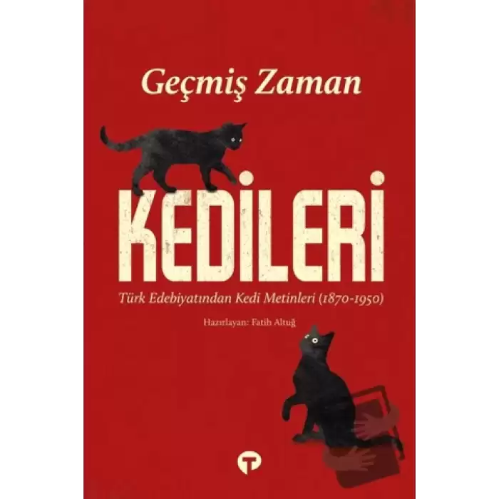 Geçmiş Zaman Kedileri