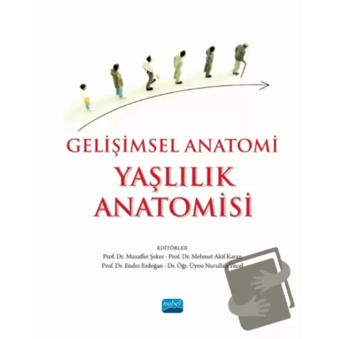 Gelişimsel Anatomi - Yaşlılık Anatomisi