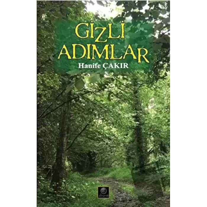 Gizli Adımlar