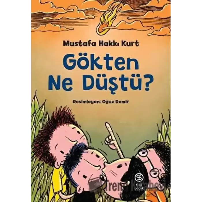 Gökten Ne Düştü?