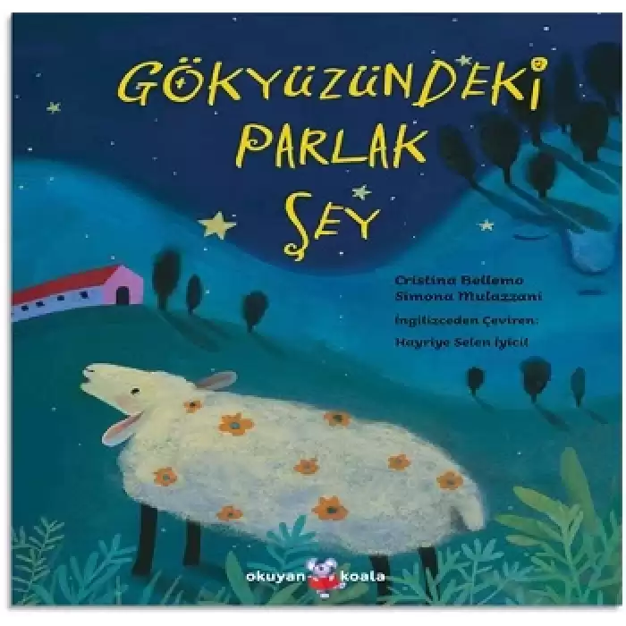 Gökyüzündeki Parlak Şey