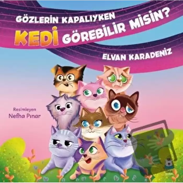 Gözlerin Kapalıyken Kedi Görebilir misin?