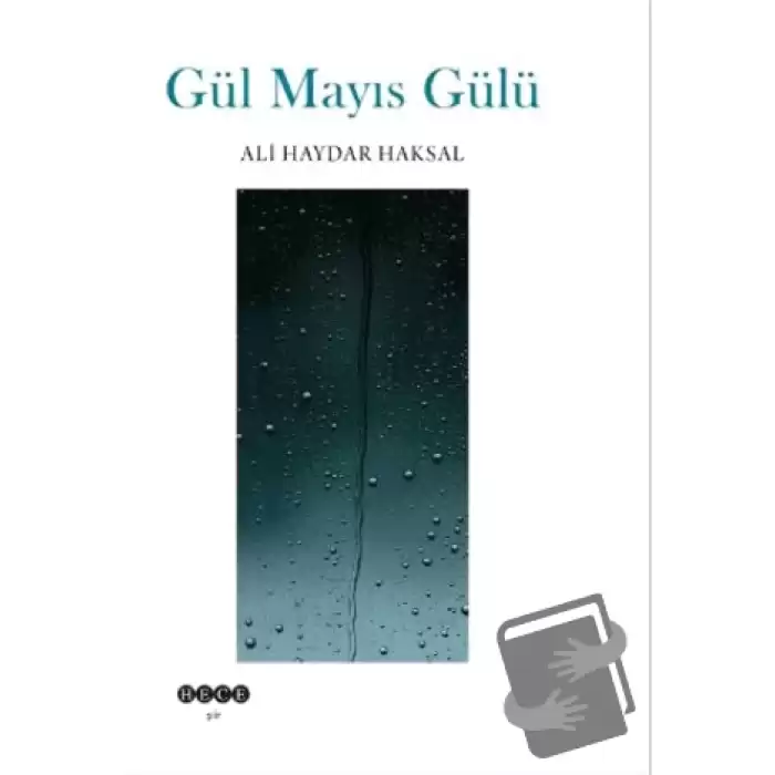 Gül Mayıs Gülü