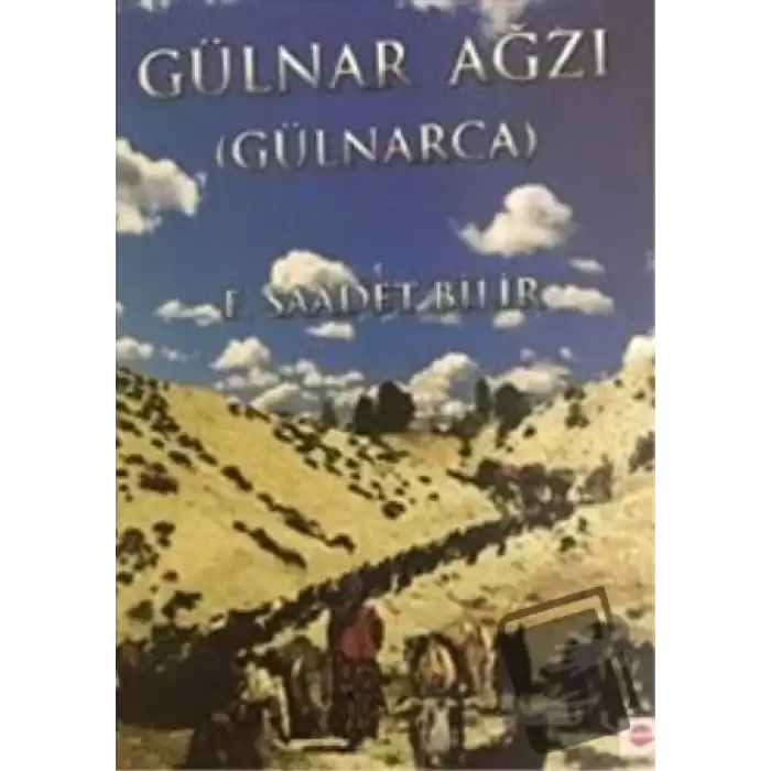 Gülnar Ağzı