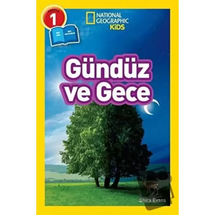 Gündüz ve Gece - Seviye 1