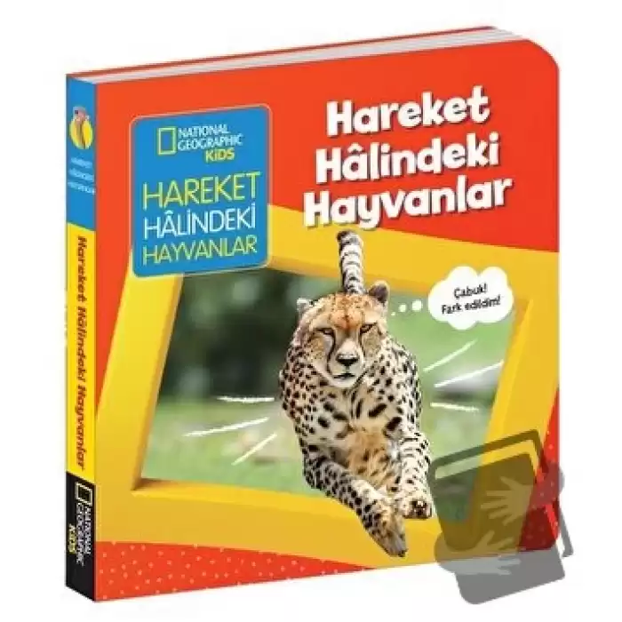 Hareket Halindeki Hayvanlar - İlk Kitaplarım Serisi (Ciltli)