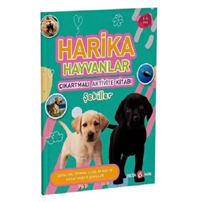 HARİKA HAYVANLAR ÇIKARTMALI AKTİVİTE KİTABI Şekiller