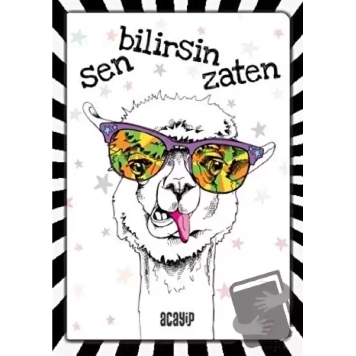 Havalı Panda Defter - Çılgın Defterler