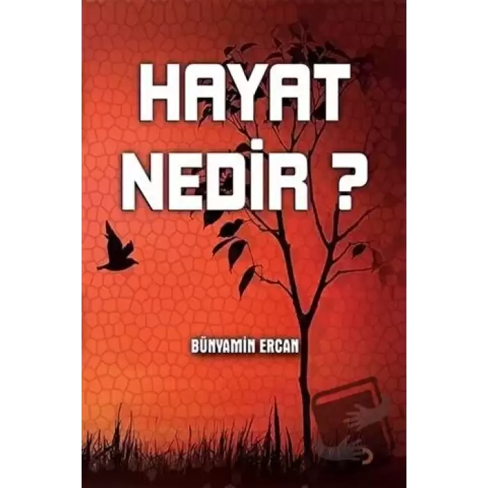 Hayat Nedir?