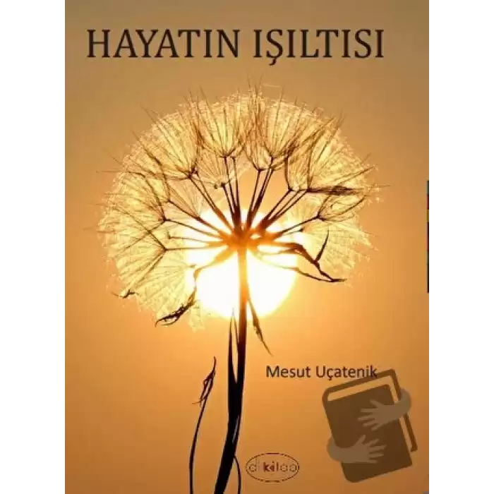 Hayatın Işıltısı