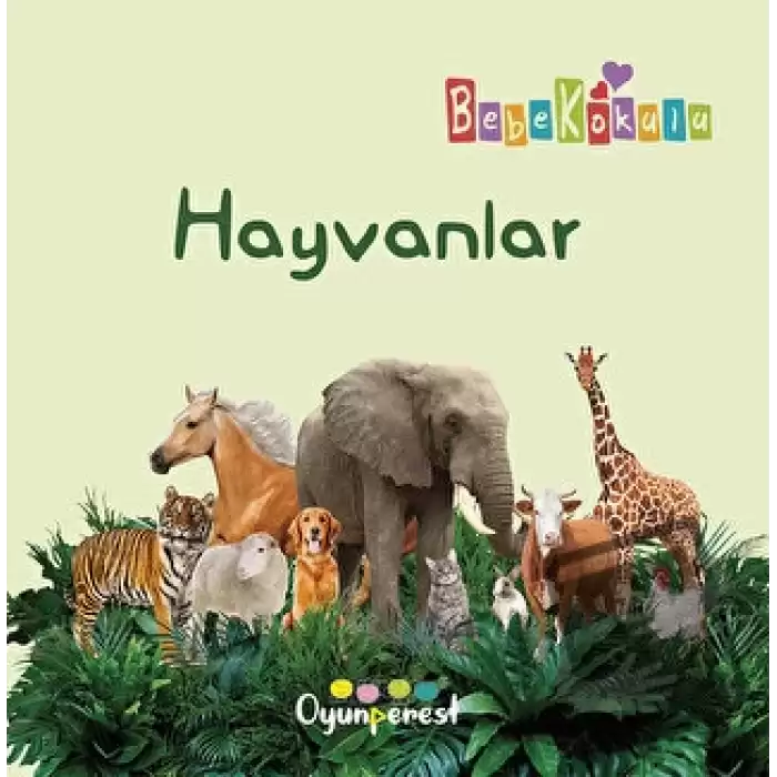 Hayvanlar