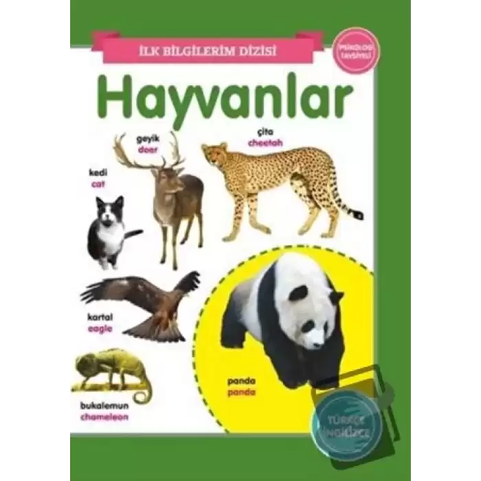 Hayvanlar - İlk Bilgilerim Dizisi