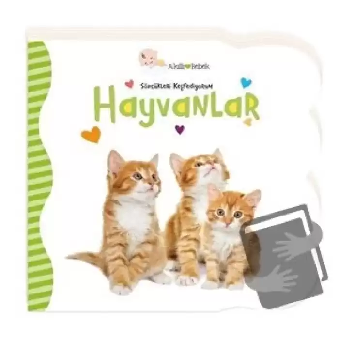 Hayvanlar - Sözcükleri Keşfediyorum (Ciltli)