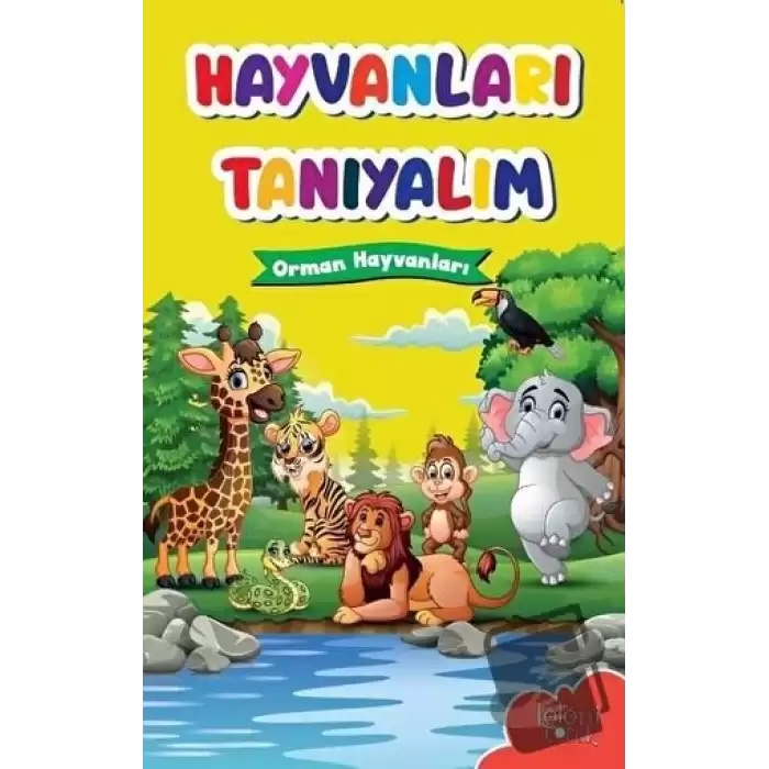 Hayvanları Tanıyalım - Orman Hayvanları