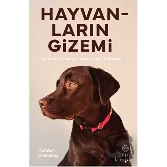 Hayvanların Gizemi