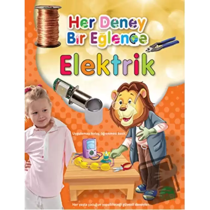 Her Deney Bir Eğlence - Elektrik