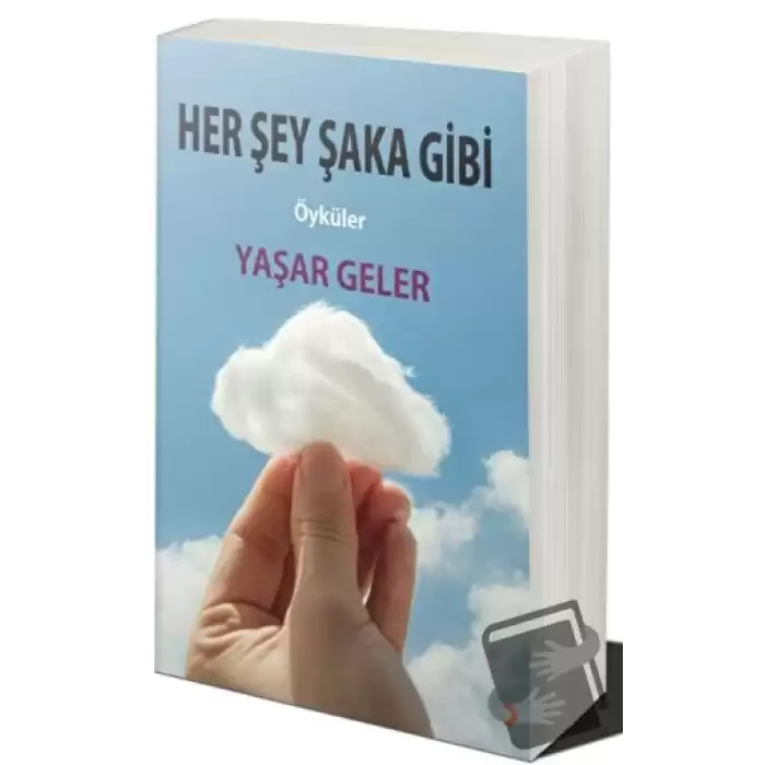 Her Şey Şaka Gibi