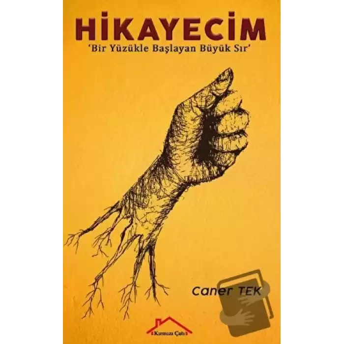 Hikayecim - Bir Yüzükle Başlayan Büyük Sır