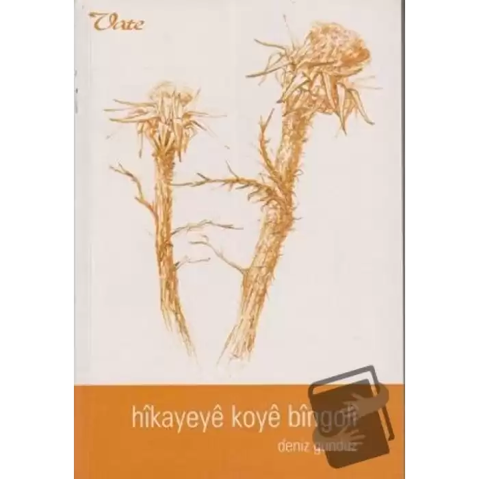 Hikayeye Koye Bingoli