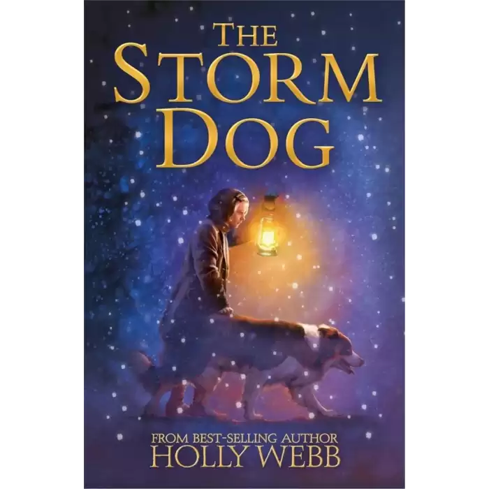 Holly Webb Animal Stories: Winter Animal Stories: The Storm Dog