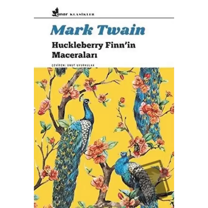 Huckleberry Finn’in Maceraları