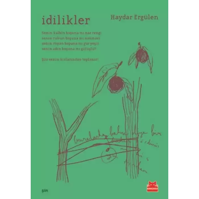 İdilikler