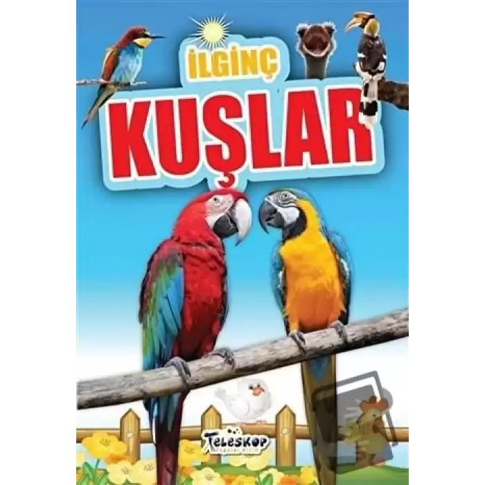 İlginç Kuşlar