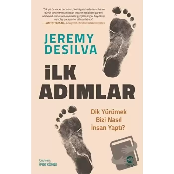 İlk Adımlar: Dik Yürümek Bizi Nasıl İnsan Yaptı?