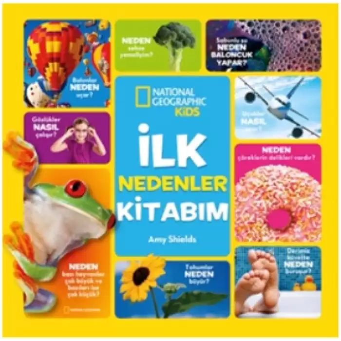 İlk Nedenler Kitabım