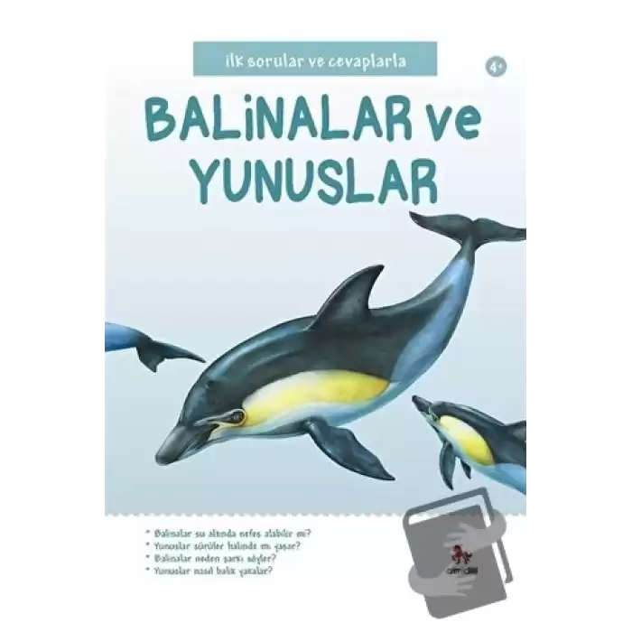 İlk Sorular ve Cevaplarla: Balinalar ve Yunuslar