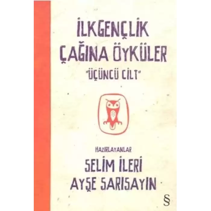 İlkgençlik Çağına Öyküler 3. Cilt